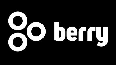 Berry Consultoria Empresarial