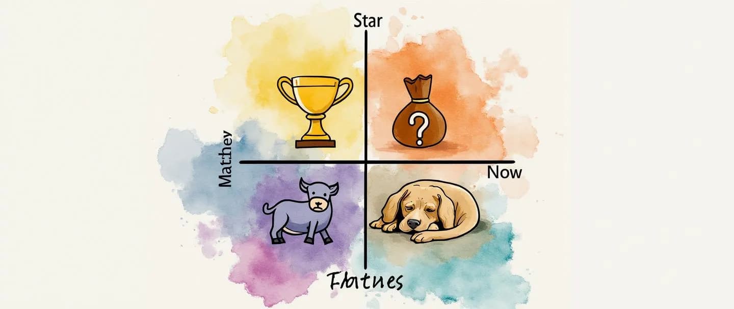 O que é matriz BCG?